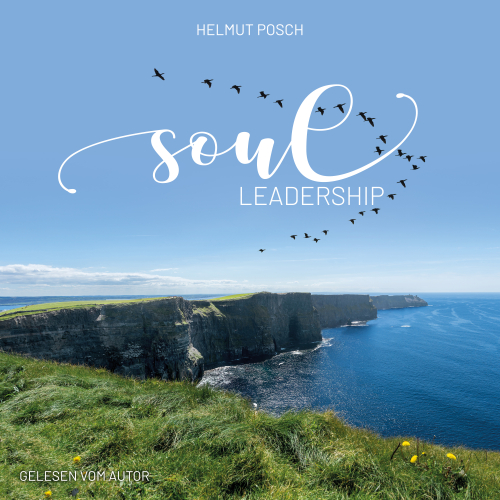 Soul Leadership Buch