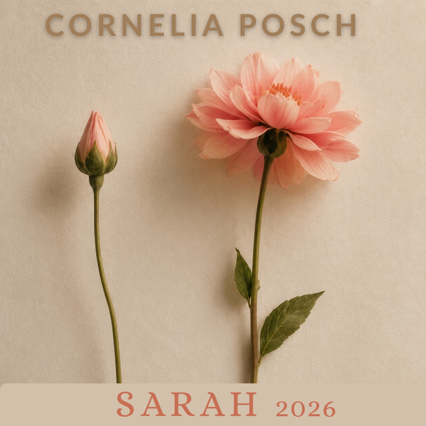 Sarah 2026 oZ